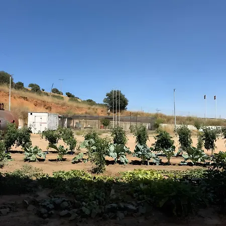 Monumento Al Camionero 1 Lägenhet Sitrama de Tera